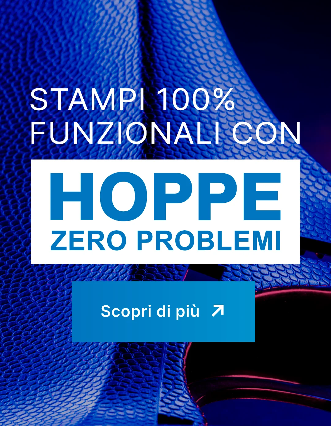 Hoppe banner blog L240130 20251027 FE